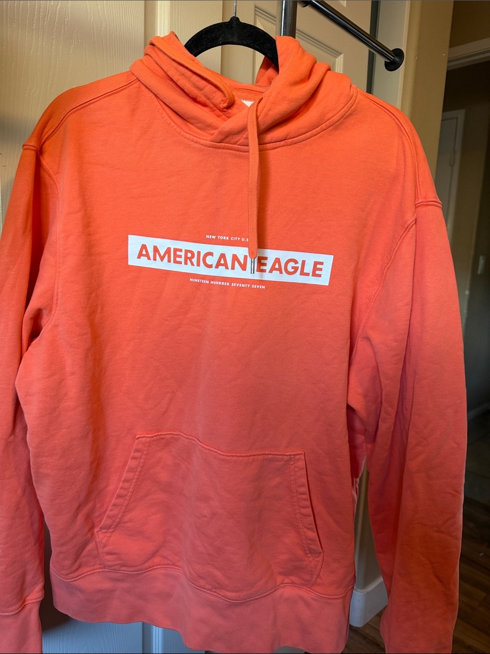 American Eagle Outfitters Coral Crewneck Hoodie